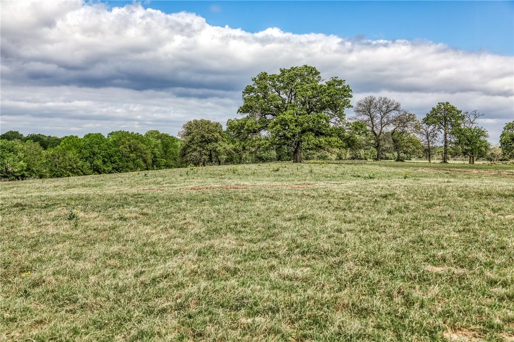 11320 County Road 343, Caldwell, TX 77836 — photo 4