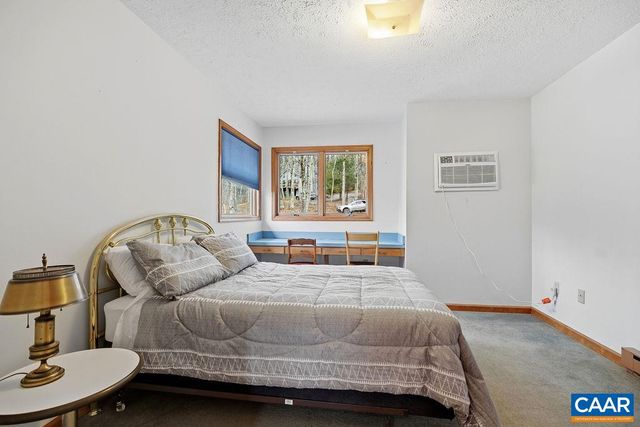 20 RED CEDAR CT, Wintergreen, VA 22967