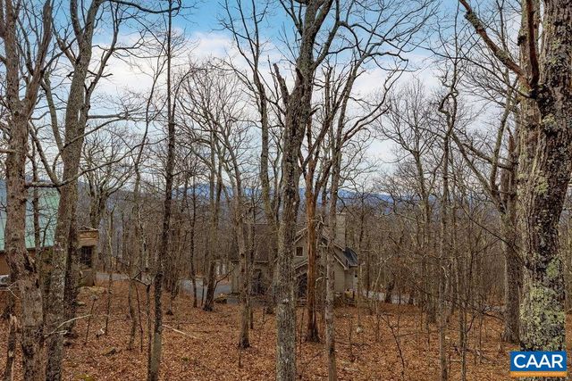 20 RED CEDAR CT, Wintergreen, VA 22967