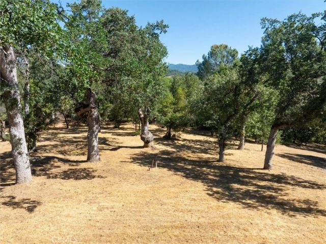 31493 Hazelwood Drive, North Fork, CA 93643