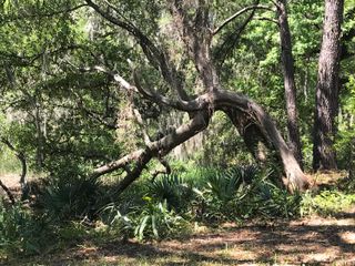 2907 River Road Road, Johns Island, SC 29455