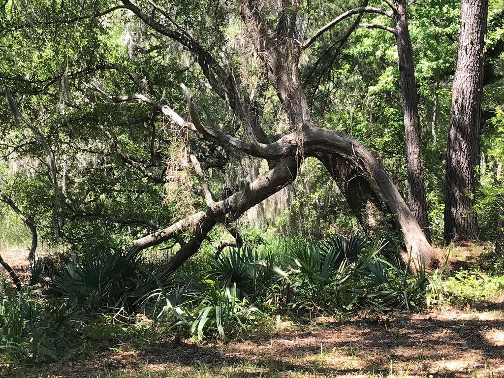 2907 River Road Road, Johns Island, SC 29455