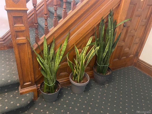 1570 Saint Paul Street, Denver, CO 80206