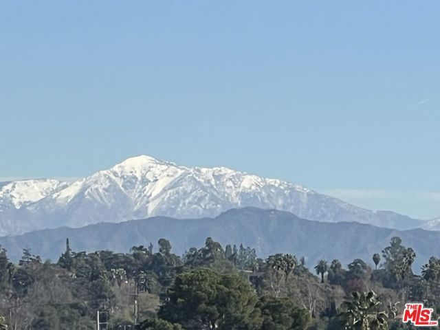 714 N. Chestnut Avenue, Los Angeles, CA 90042