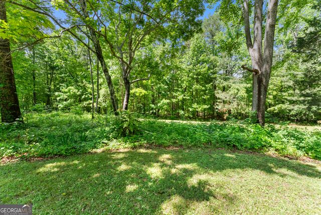 250 Truelove Road, Cleveland, GA 30528