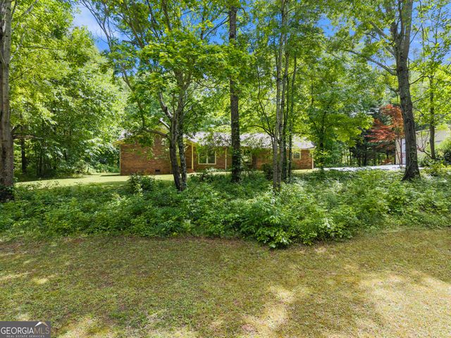 250 Truelove Road, Cleveland, GA 30528