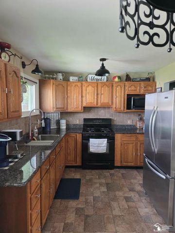 15830 Ida Center Rd Road, Summerfield Twp, MI 49270