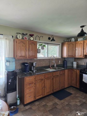15830 Ida Center Rd Road, Summerfield Twp, MI 49270
