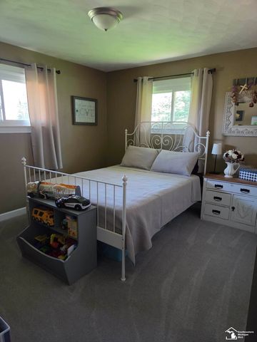 15830 Ida Center Rd Road, Summerfield Twp, MI 49270