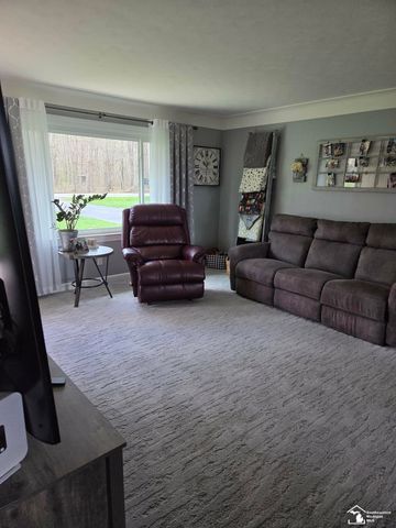 15830 Ida Center Rd Road, Summerfield Twp, MI 49270