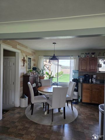 15830 Ida Center Rd Road, Summerfield Twp, MI 49270