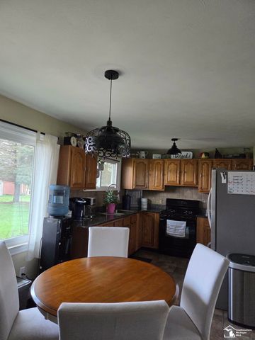 15830 Ida Center Rd Road, Summerfield Twp, MI 49270