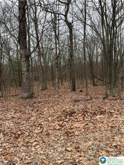 129 Fall Court 58, Pike, PA 18328