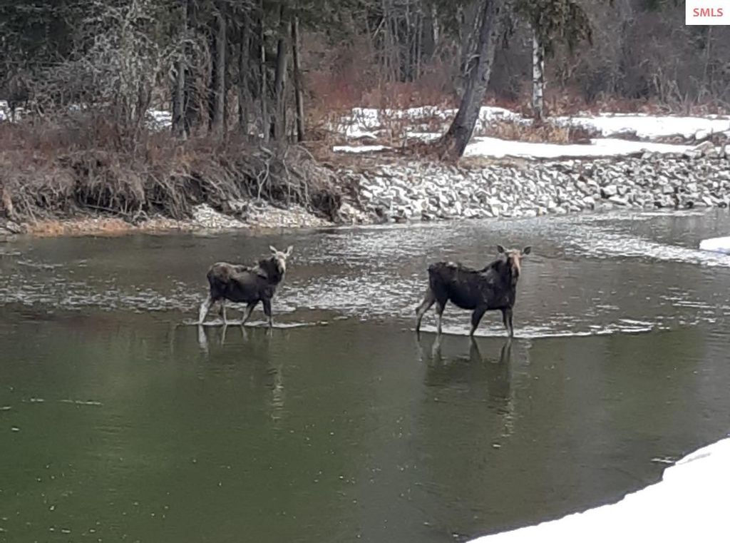 360 Shamrock Ln, Sandpoint, ID 83864 photo 58