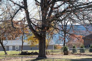 7 Sycamore Drive, Kimberling City, MO 65686