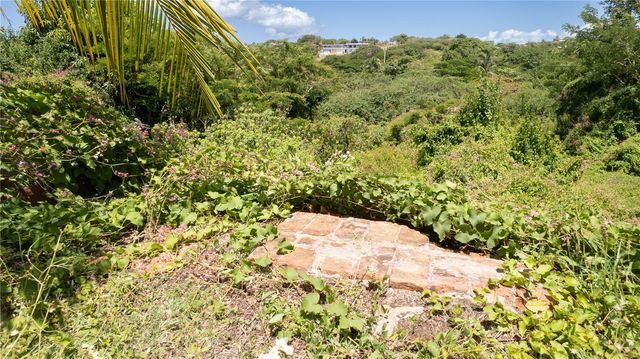 151 LOS CAOBOS, Vieques, PR 00765