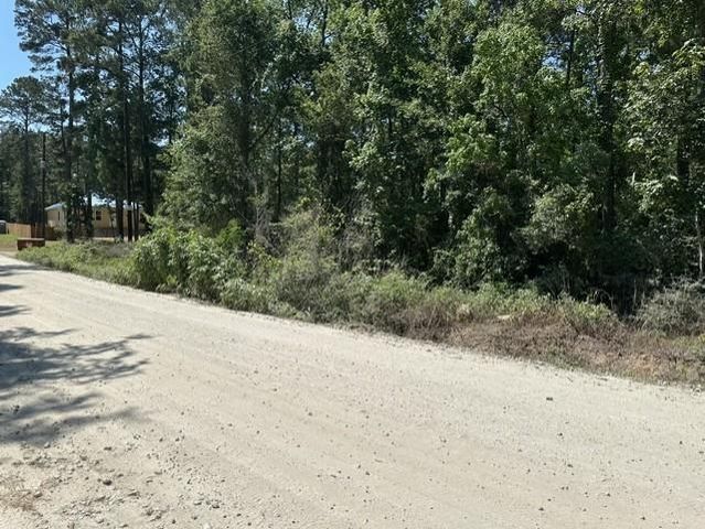 13035 Hollybrook Drive, Plantersville, TX 77363