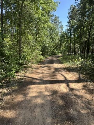 13035 Hollybrook Drive, Plantersville, TX 77363