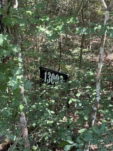 13035 Hollybrook Drive, Plantersville, TX 77363