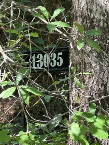 13035 Hollybrook Drive, Plantersville, TX 77363