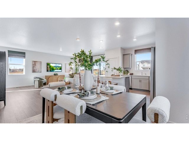 1008 Annelles Pool Ln, Severance, CO 80550