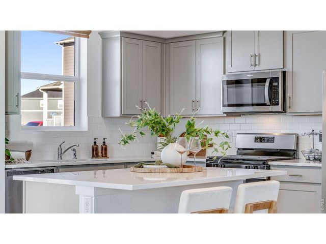 1008 Annelles Pool Ln, Severance, CO 80550