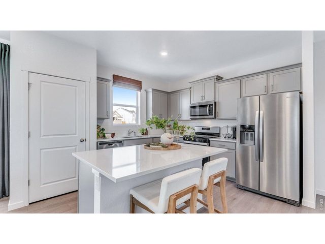 1008 Annelles Pool Ln, Severance, CO 80550