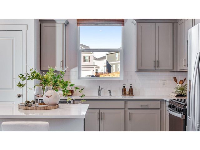 1008 Annelles Pool Ln, Severance, CO 80550