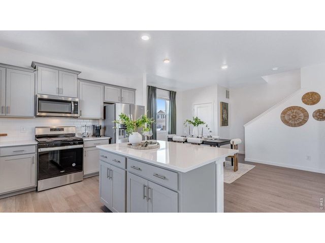 1008 Annelles Pool Ln, Severance, CO 80550
