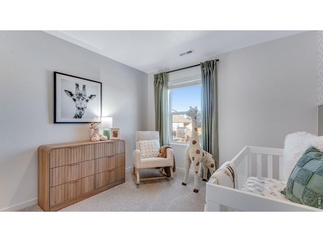 1008 Annelles Pool Ln, Severance, CO 80550