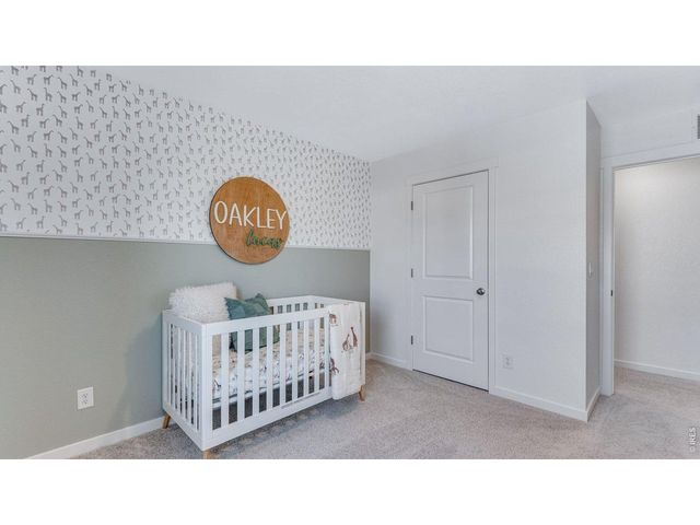 1008 Annelles Pool Ln, Severance, CO 80550