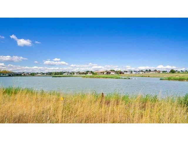 1008 Annelles Pool Ln, Severance, CO 80550