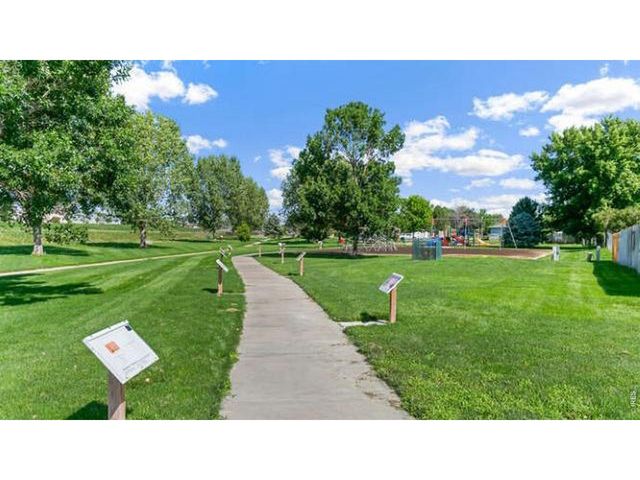 1008 Annelles Pool Ln, Severance, CO 80550