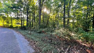 0 Union Ridge Rd, Wartrace, TN 37183