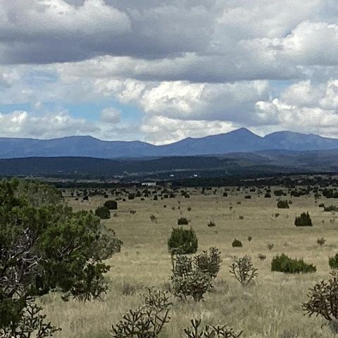 County Rd A052 Tract A, Estancia, NM 87016