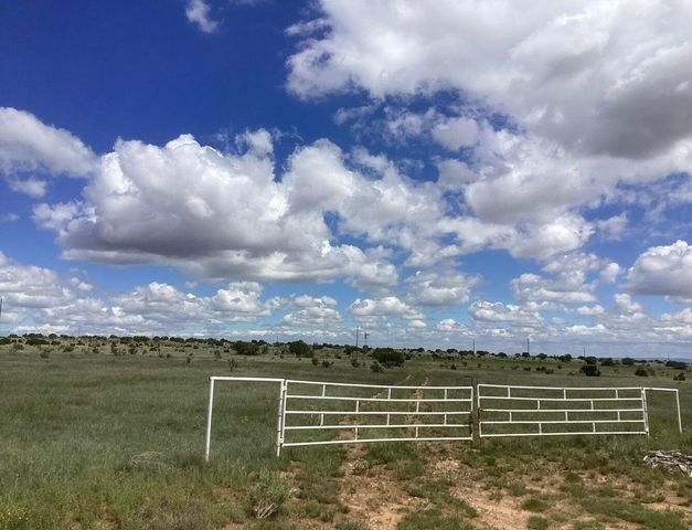 County Rd A052 Tract A, Estancia, NM 87016