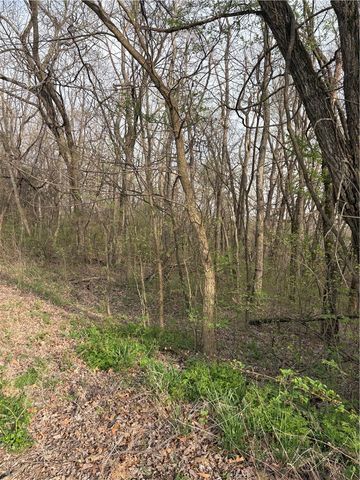 Lots 169, 170, 171 Huckleberry Circle 7-RURBAN, Rogers, AR 72732
