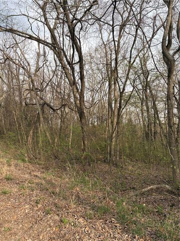 Lots 169, 170, 171 Huckleberry Circle 7-RURBAN, Rogers, AR 72732