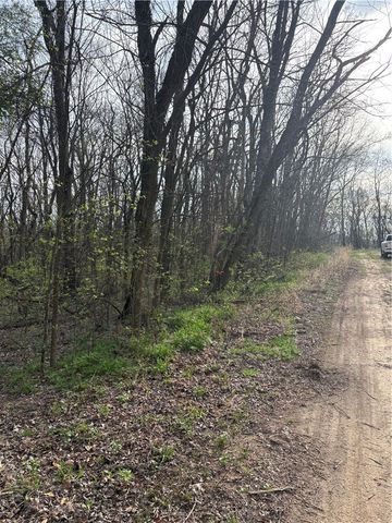 Lots 169, 170, 171 Huckleberry Circle 7-RURBAN, Rogers, AR 72732