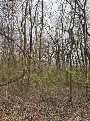 Lots 169, 170, 171 Huckleberry Circle 7-RURBAN, Rogers, AR 72732