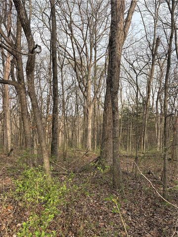 Lots 169, 170, 171 Huckleberry Circle 7-RURBAN, Rogers, AR 72732