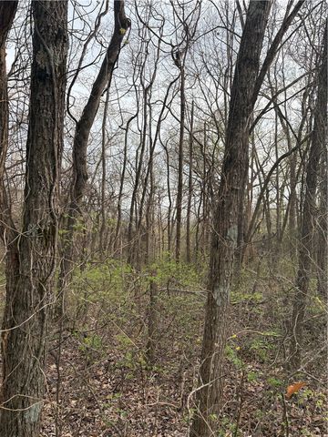 Lots 169, 170, 171 Huckleberry Circle 7-RURBAN, Rogers, AR 72732