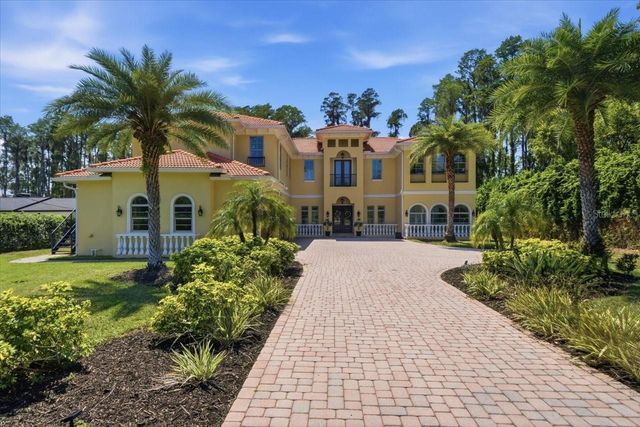 18258 WAYNE ROAD, Odessa, FL 33556