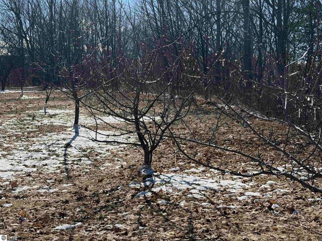 0 Center Road, Traverse City, MI 49686