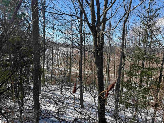 0 Center Road, Traverse City, MI 49686