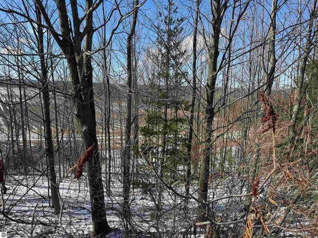 0 Center Road, Traverse City, MI 49686