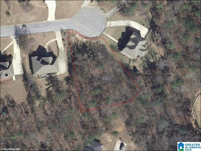 218 CHESTNUT FOREST CIRCLE, Helena, AL 35080