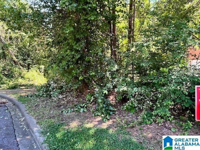 218 CHESTNUT FOREST CIRCLE, Helena, AL 35080