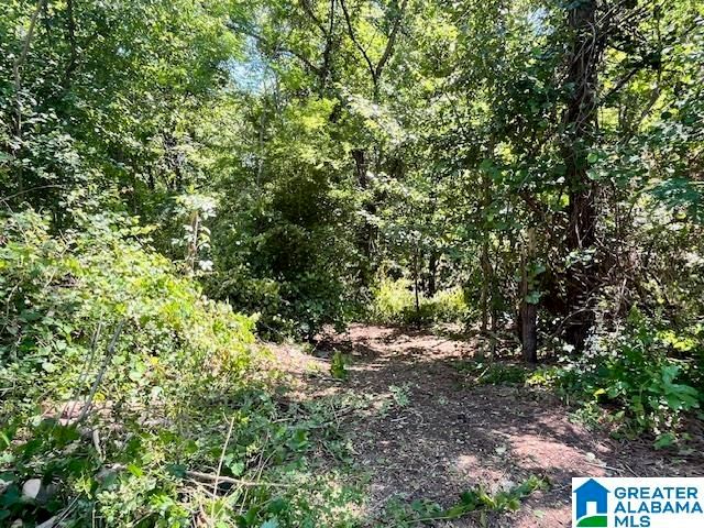 218 CHESTNUT FOREST CIRCLE, Helena, AL 35080