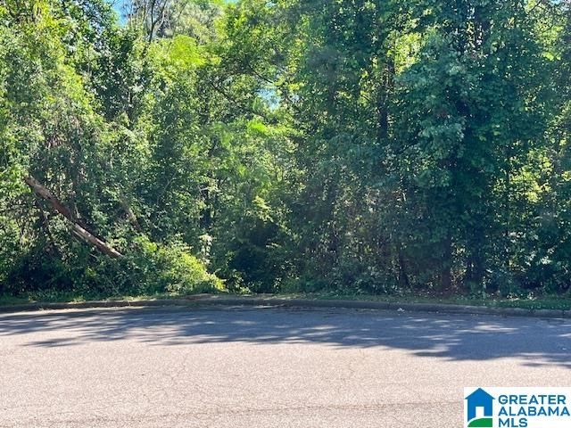 218 CHESTNUT FOREST CIRCLE, Helena, AL 35080